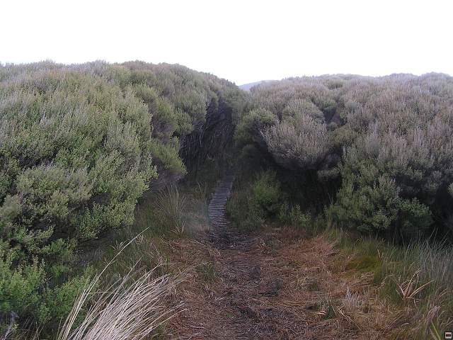 steward island 004.jpg